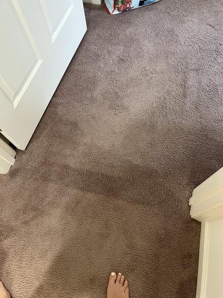 Baltimore Home Services / Baltimore Carpet Repair