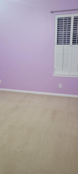 Evansville Rug Cleaning