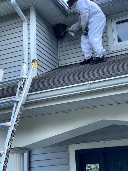 Reliable Pest and Animal Control