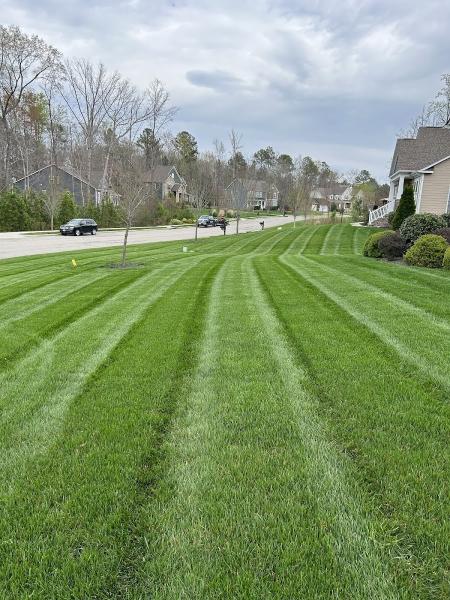 Lawn Jovi