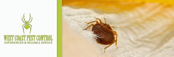 West Coast Pest Control