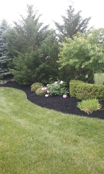All Green Lawn and Landscape