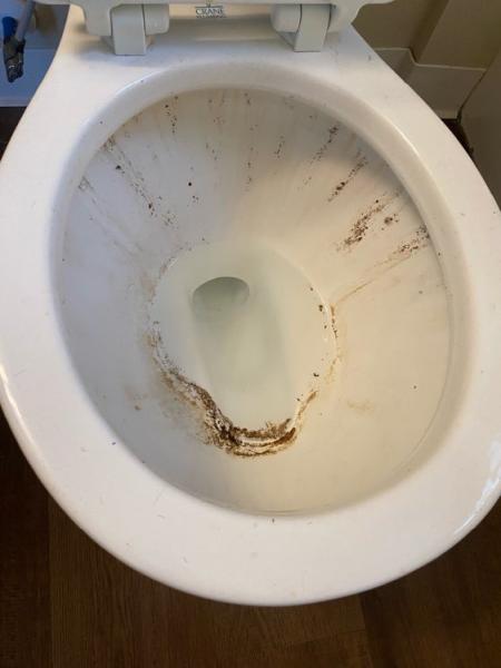 Extra Clean Cleaning