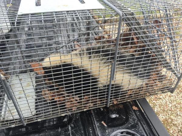 Animal Control Specialists