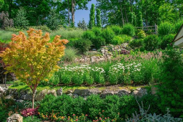 Scenic Landscaping