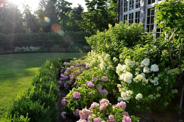 Scenic Landscaping