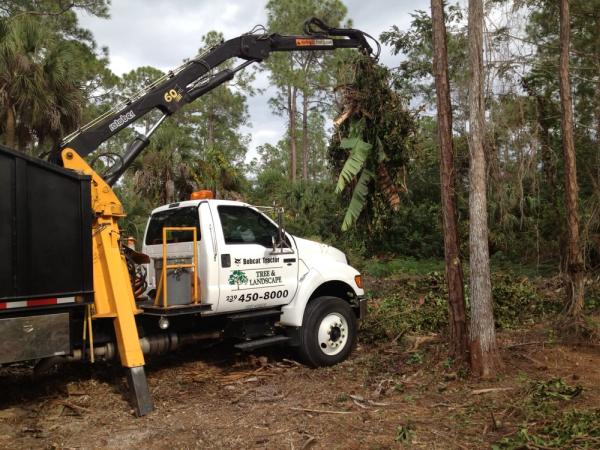 Bobcat Tractor Tree & Landscape / Eager Beaver Tree and Stump