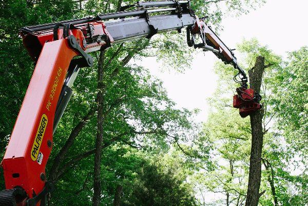 Bobcat Tractor Tree & Landscape / Eager Beaver Tree and Stump