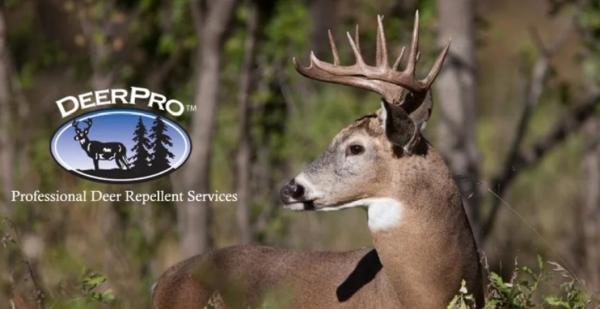 Tick & Turf LLC