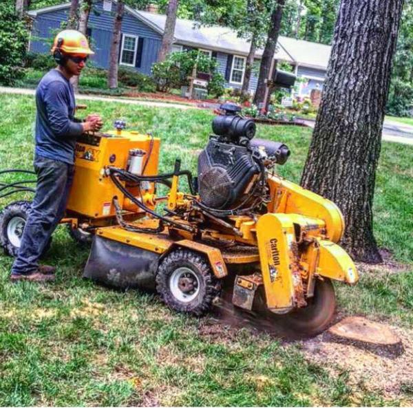 Greenwood Tree Services Inc