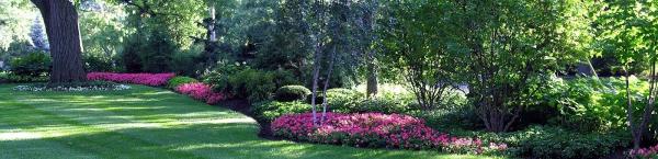 Dario Garcia Landscaping LLC