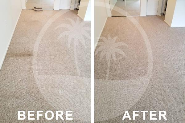 Oasis Carpet & Upholstery