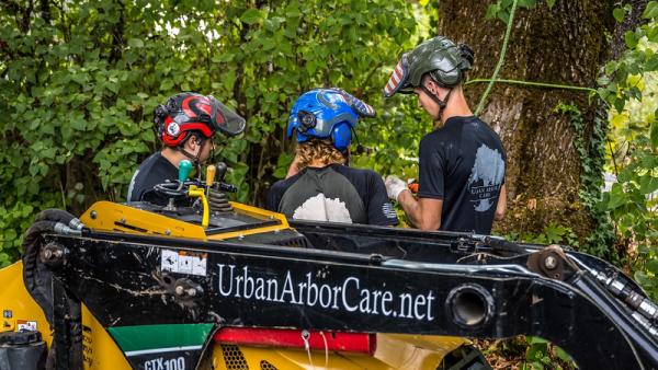 Urban Arbor Care