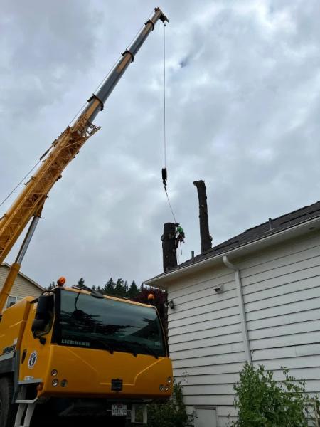 Urban Arbor Care