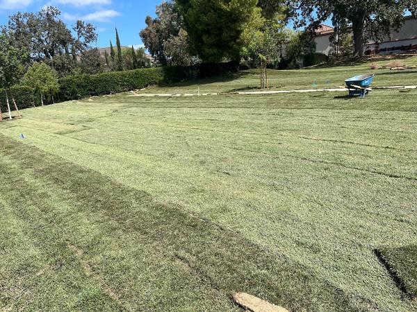 Marroquin's Landscaping & Maintenance Services Inc.