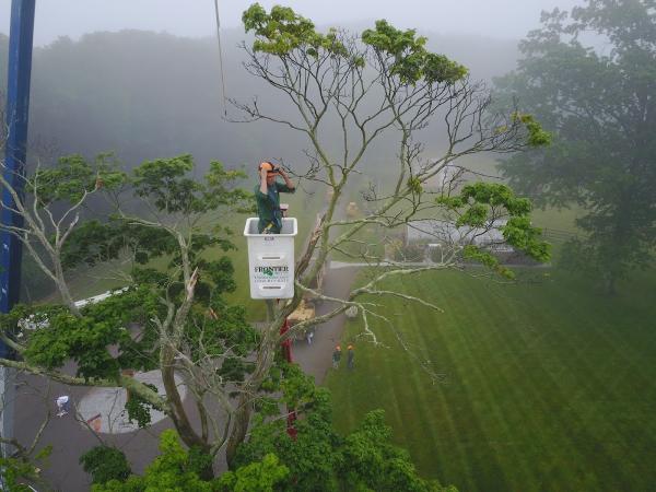 Frontier Tree Company