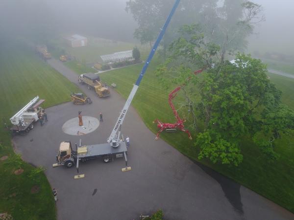 Frontier Tree Company