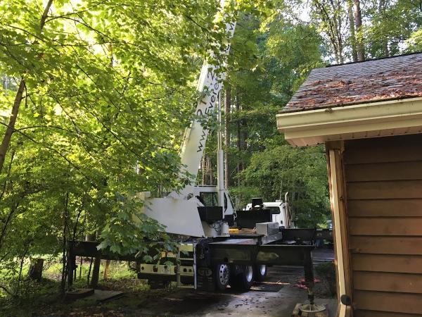 Everett Tree Service