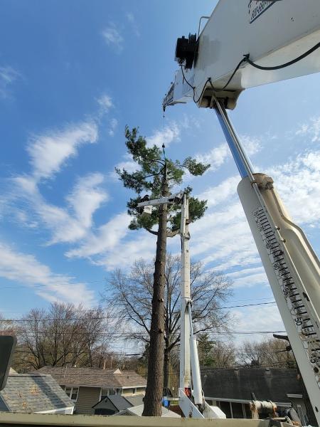 A+ Tree & Snow Removal
