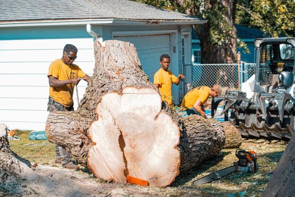 A+ Tree & Snow Removal