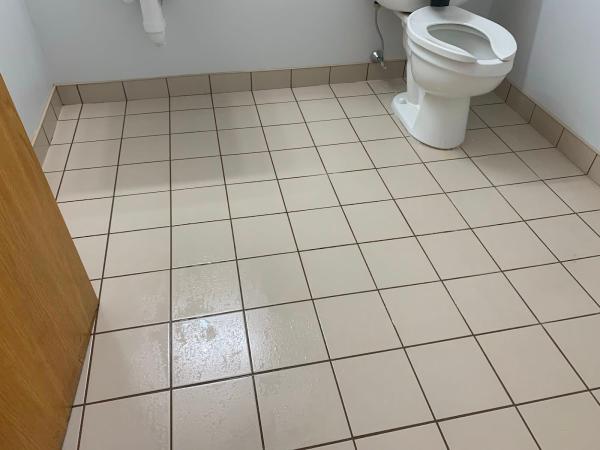 Upstate Professional Carpet Care
