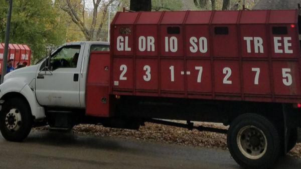 Glorioso Tree Service