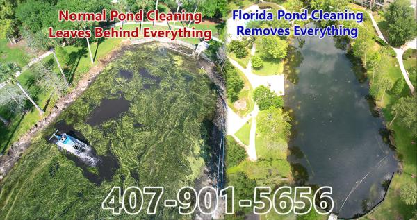 Florida Pond Cleaning