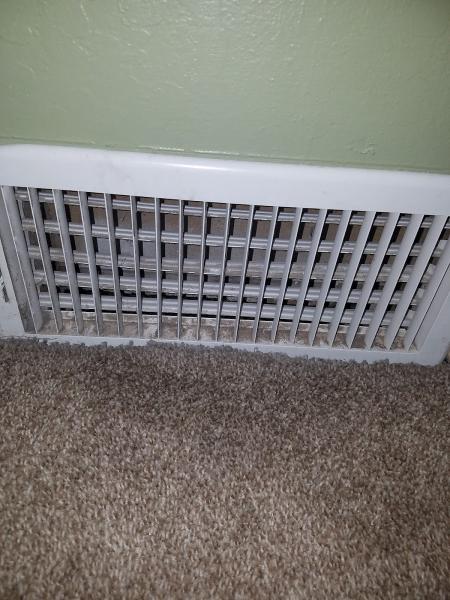 Green Solutions Carpet Cleaning