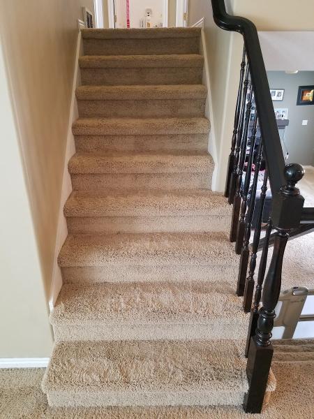 Green Solutions Carpet Cleaning