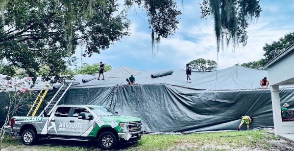 Absolute Termite and Pests LLC