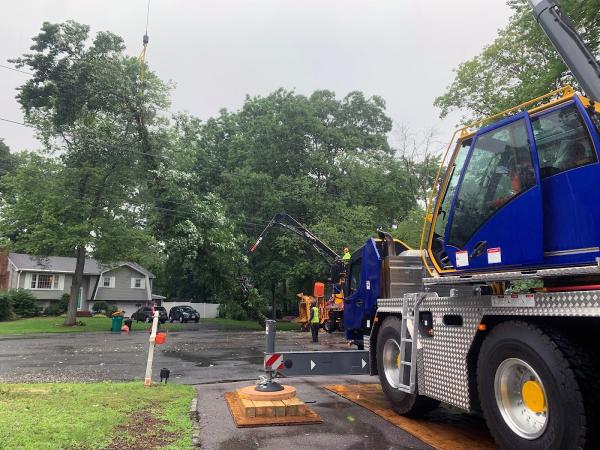 Destito Tree Services