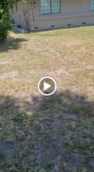 Benavidez Landscaping &construction