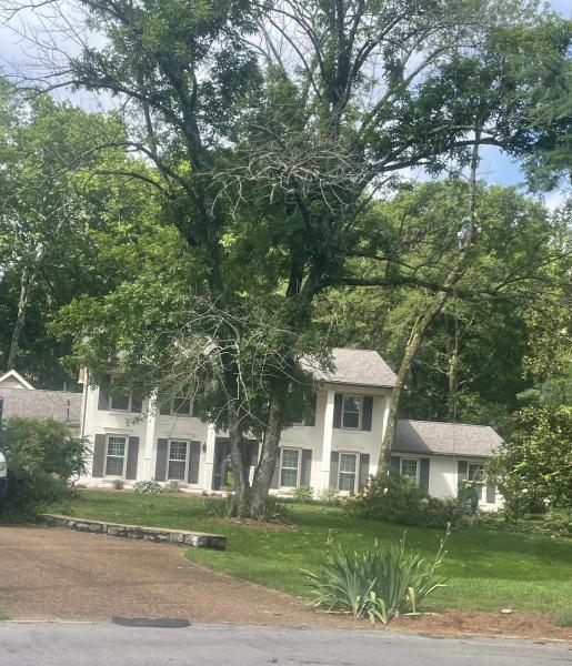JRM Tree Service Care For Life LLC