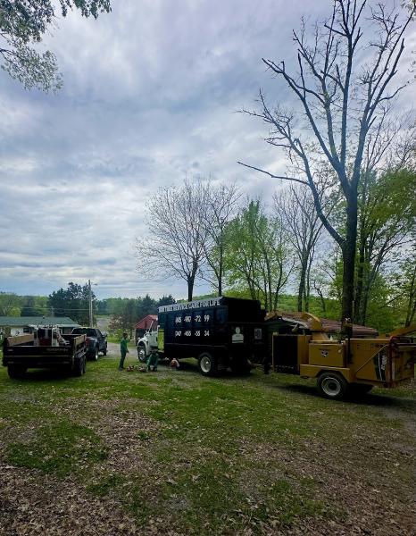 JRM Tree Service Care For Life LLC