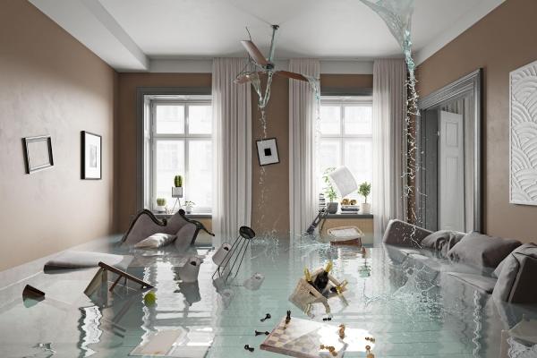 Dream Team Water Damage Restoration