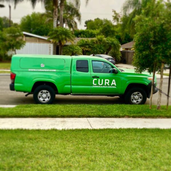 Cura Termite and Pest Control