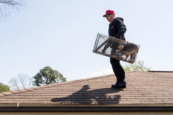 Epix Wildlife Removal
