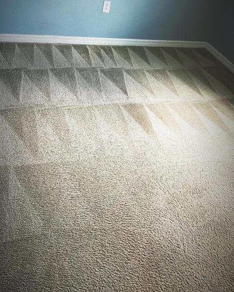 Blue Water Carpet & Services