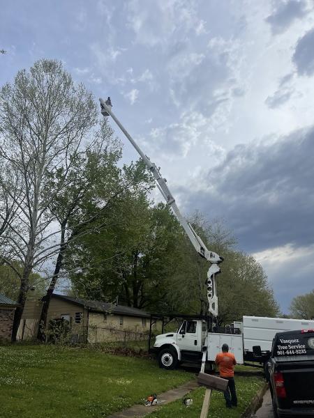 Vasquez Tree Service and Stump Grinding