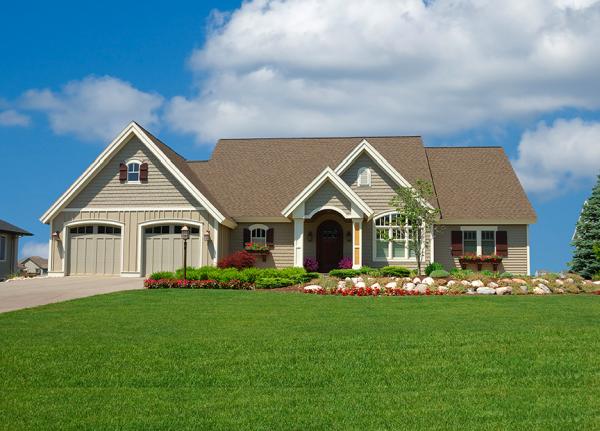 Exterior Lawn & Pest Control