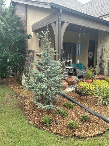 Cut Right Landscape and Tree