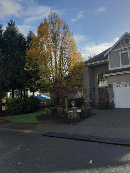 Sandoval Landscaping and More LLC