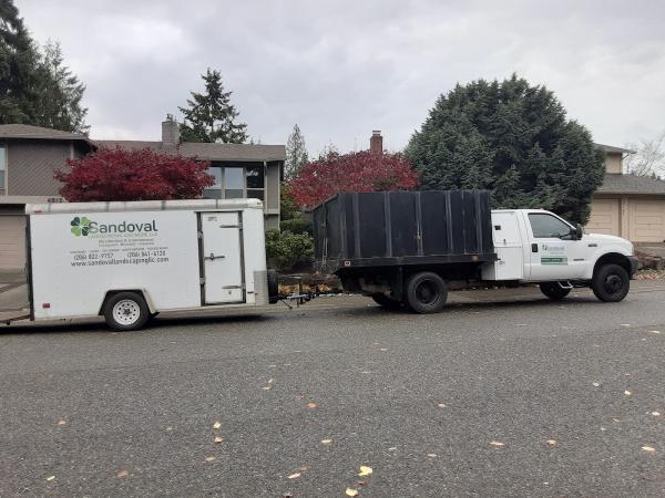 Sandoval Landscaping and More LLC