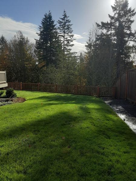 Sandoval Landscaping and More LLC