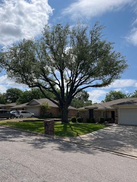 Chippers Tree Service