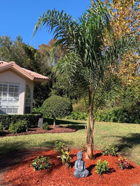 Lofton Landscaping