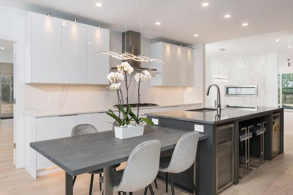 Silviu Nedelcu Painting & Remodeling Inc