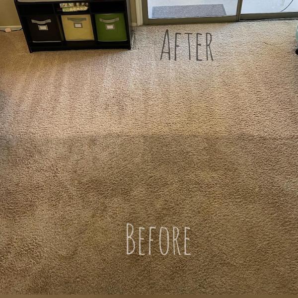 Avocado Cleaning