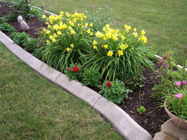 Decorative Concrete Edging