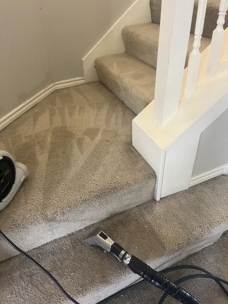 All- City Steam Clean Services
